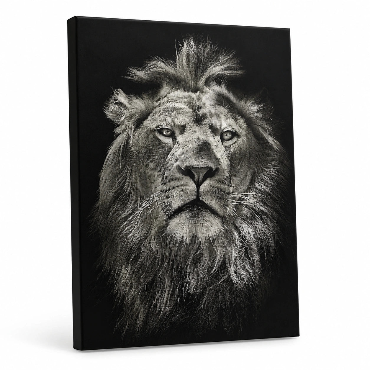 tableau-artistique-d-animaux-monochrome-pour-decoration-interieure-jbgszg1932rn